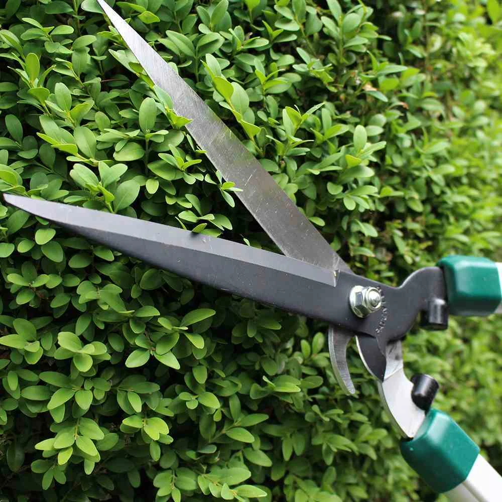 Pro Alu Heckenschere Mit Exzellenter Schneidleistung 2 Pro Alu Heckenschere Mit Exzellenter Schneidleistung – Bild 2