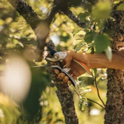 Fiskars Schere 'Plus PowerLever', Schwarz/orange 5 Fiskars Schere 'Plus PowerLever', Schwarz/orange -Angebote Gruen Trieb Store 0920300707 Plus PowerLever Metall Bypass Gartenschere 3 106801