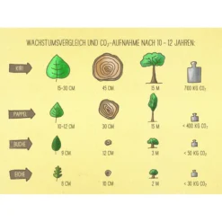 Bio Blauglockenbaum, Co2-Klimabaum 'NordMax21‘ ®, Topf-Ø 15 Cm -Angebote Gruen Trieb Store 1615100163 Blu Klimabaum 18 121720