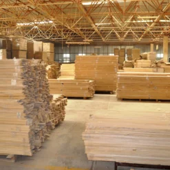 Bio Blauglockenbaum, Co2-Klimabaum 'NordMax21‘ ®, Topf-Ø 15 Cm -Angebote Gruen Trieb Store 1615100163 Blu Klimabaum 4 121718