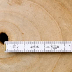 Bio Blauglockenbaum, Co2-Klimabaum 'NordMax21‘ ®, Topf-Ø 15 Cm -Angebote Gruen Trieb Store 1615100163 Blu Klimabaum 5 121717