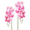Kunstpflanze Orchideenzweig, Dunkelrosa, Ca. 87 Cm, 2 Stück