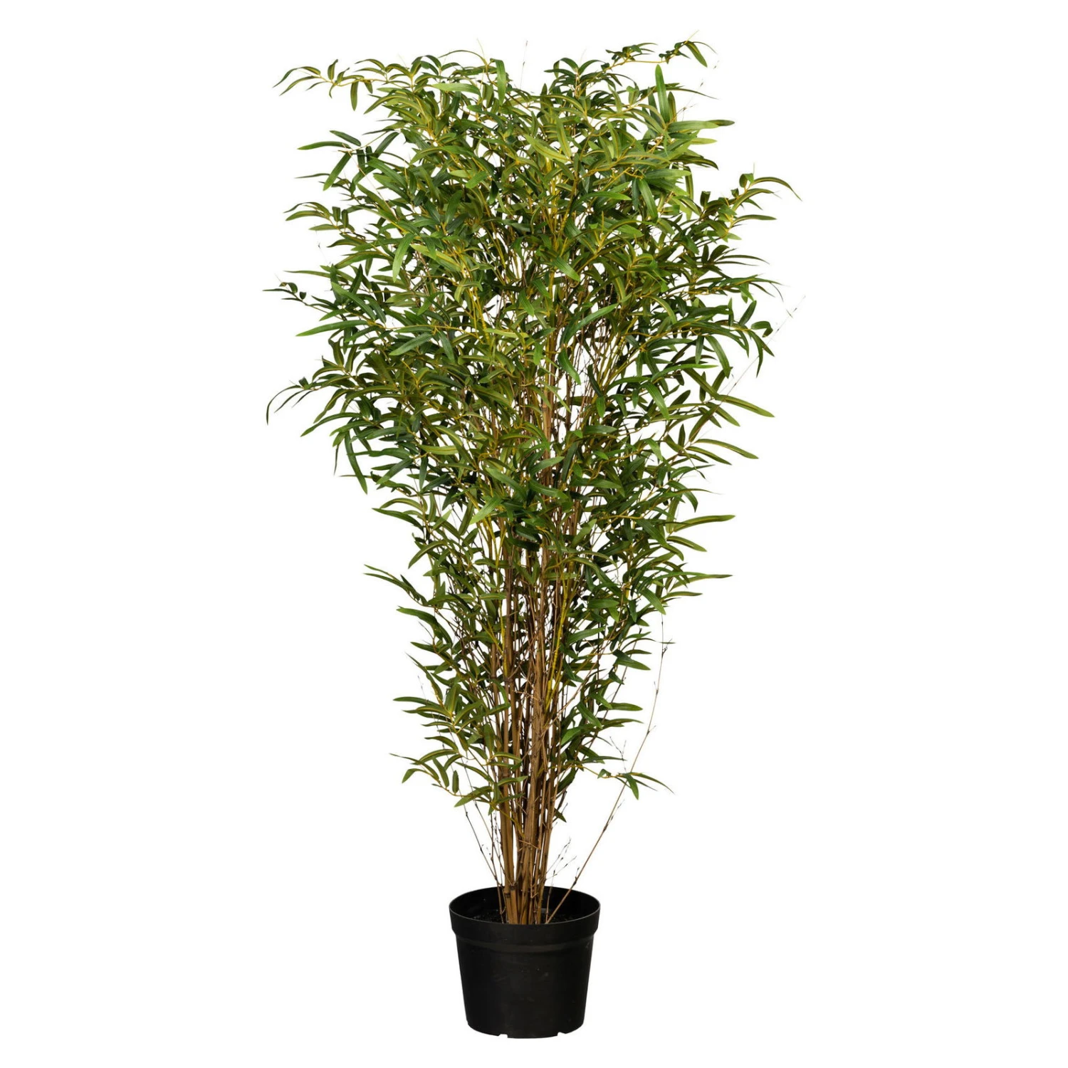 Künstlicher Bambus, Grün, Ca. 150 Cm, Kunststofftopf 23 X 18 Cm 1 Künstlicher Bambus, Grün, Ca. 150 Cm, Kunststofftopf 23 X 18 Cm
