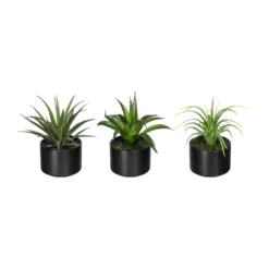 Kunstpflanzen 3er-Set Aloe Vera, Agave & Tillandsie, Topf-Ø 7,5 Cm, Höhe Ca.15cm