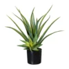 Kunstpflanze Aloe Vera Mit 2 Stämmen & Erde, Topf-Ø 12 Cm, Höhe Ca. 48 Cm