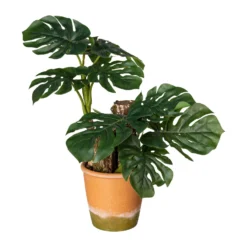 Kunstpflanze Split-Philodendron, Höhe Ca. 45 Cm