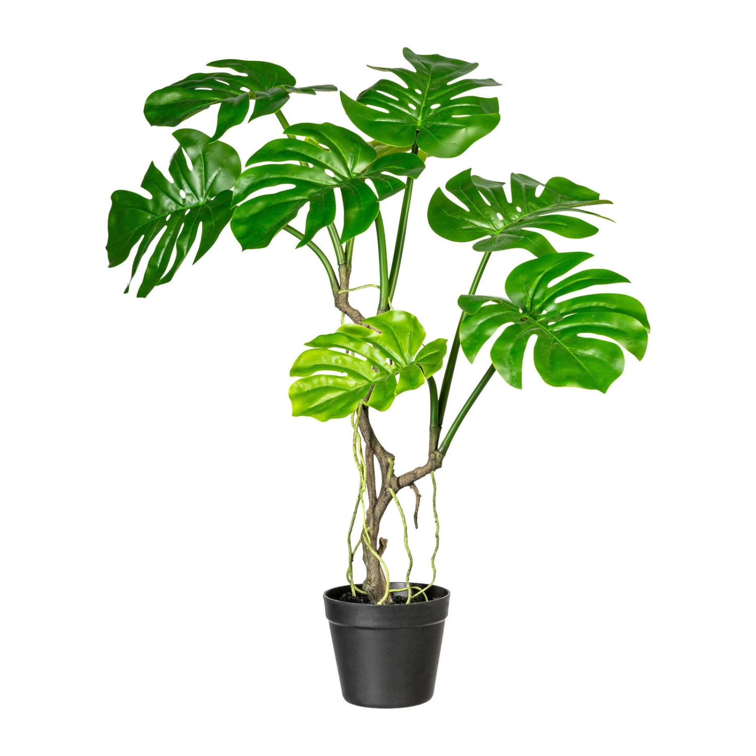 Kunstpflanze Splitphilodendron, Höhe Ca. 75 Cm 1 Kunstpflanze Splitphilodendron, Höhe Ca. 75 Cm