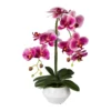 Orchidee Phalaenopsis, Künstlich, Fuchsia, Ca. 52 Cm, Keramiktopf 15 X 9,5 Cm
