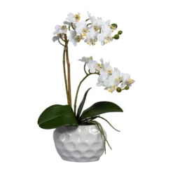 Künstliche Mini-Orchidee, Phalaenopsis, 2 Rispen, Weiße Blüten, Ca. 40 Cm, 13,5 X 9,5 X 7 Cm Keramikvase In Weiß