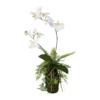 Kunstpflanze Orchideen & Farn Arrangement, Topf-Ø 10 Cm, Höhe Ca. 57 Cm