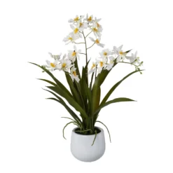 Kunstpflanze Gambia-Orchidee, Weiß, Topf-Ø 12 Cm, Höhe Ca. 50 Cm