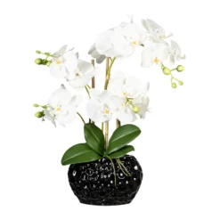 Kunstpflanze Phalaenopsis, 4 Triebe, Weiß, Höhe Ca. 55 Cm