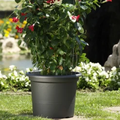 Euro 3 Plast Pflanzkübel Geo Anthrazit