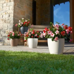 LECHUZA Pflanzgefäß 'Classico Color 70', Weiß, Ø 70 X H 64,5 Cm 5 LECHUZA Pflanzgefäß 'Classico Color 70', Weiß, Ø 70 X H 64,5 Cm -Angebote Gruen Trieb Store 3210103918 Pflanzgefaess Classico Color 60 All in 1 weiss 3 109195