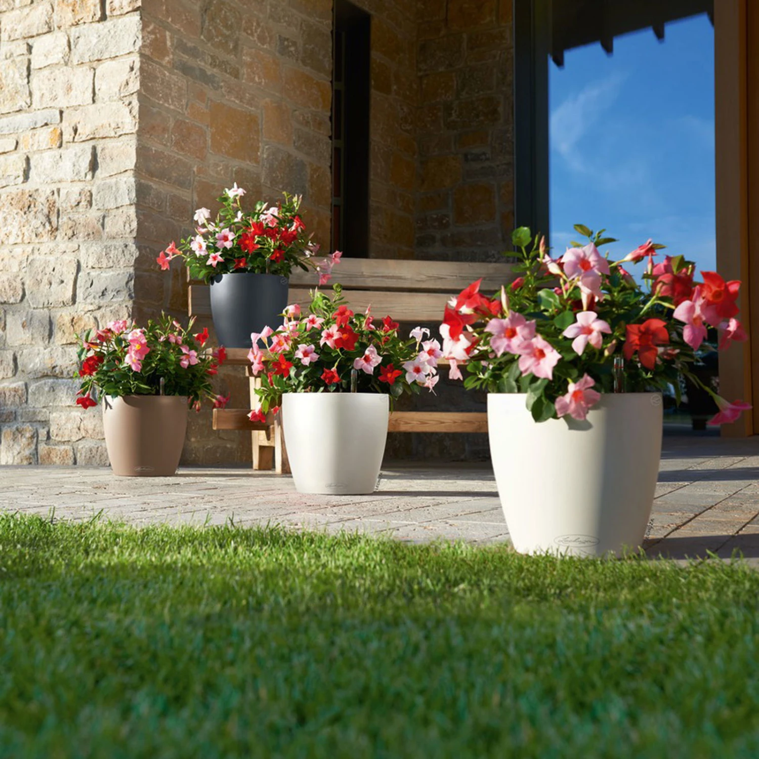 LECHUZA Pflanzgefäß 'Classico Color 70', Weiß, Ø 70 X H 64,5 Cm 3 LECHUZA Pflanzgefäß 'Classico Color 70', Weiß, Ø 70 X H 64,5 Cm – Bild 3