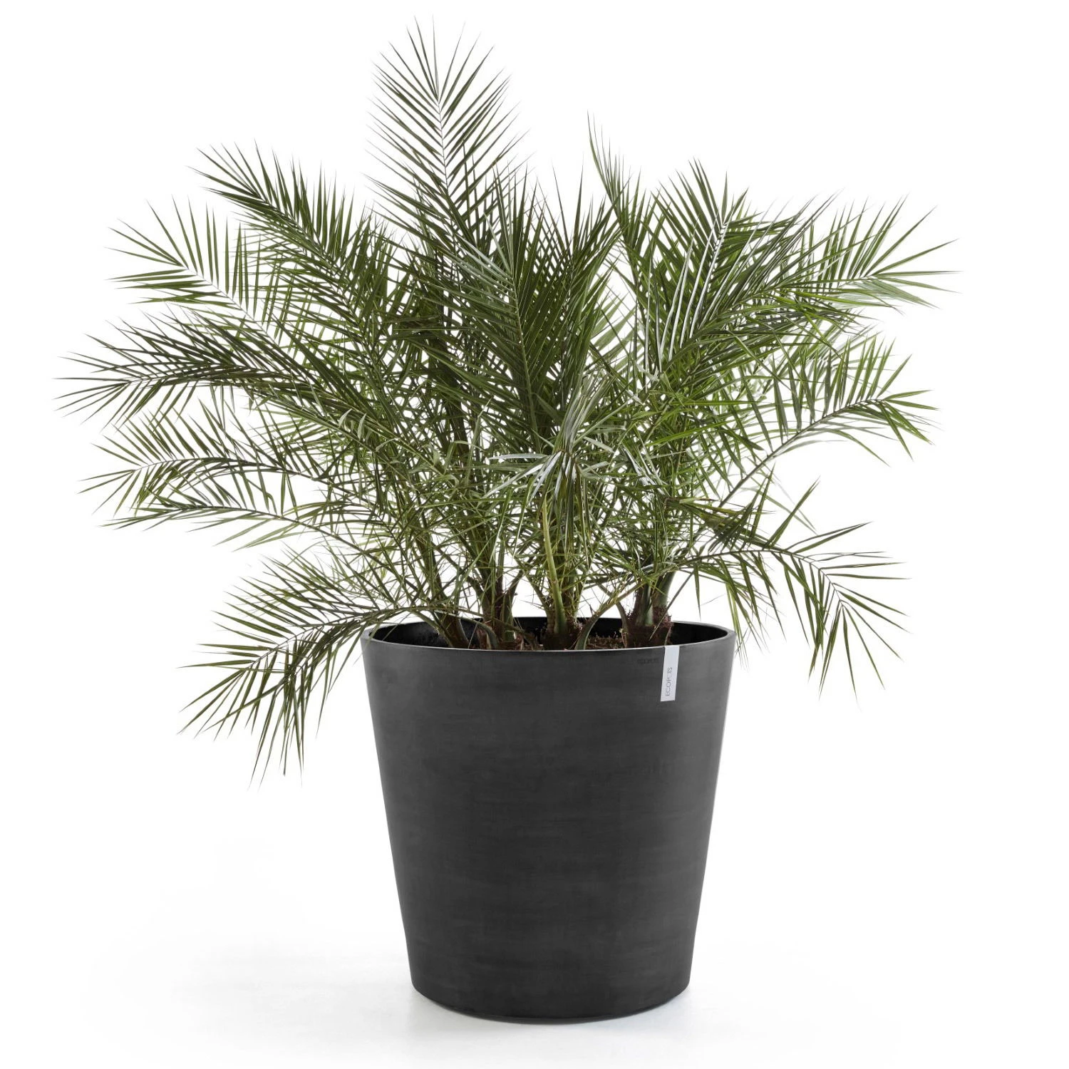 Pflanzgefäß 'Amsterdam', Dunkelgrau 2 Pflanzgefäß 'Amsterdam', Dunkelgrau – Bild 2