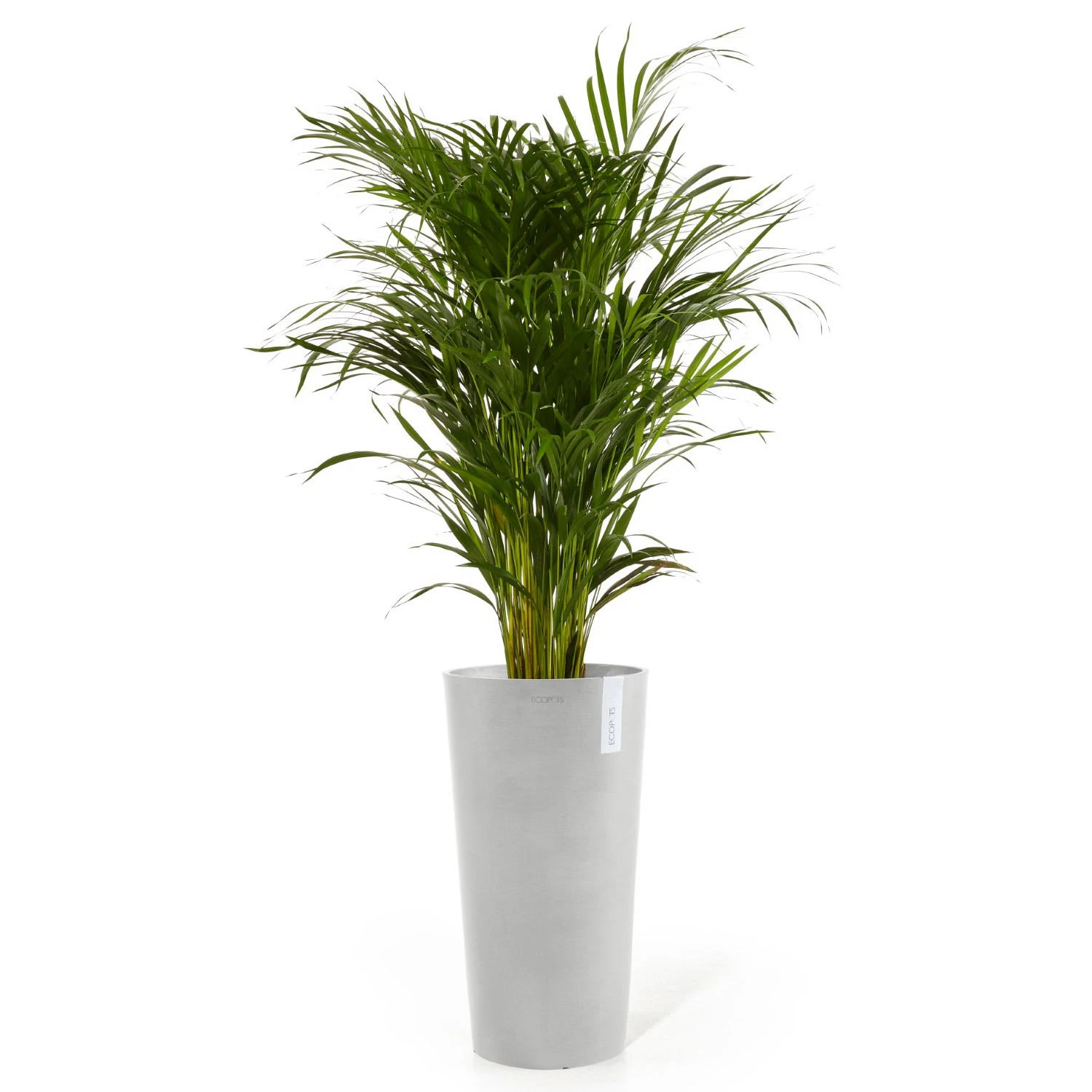 Pflanzgefäß 'Amsterdam Midi', Weißgrau 2 Pflanzgefäß 'Amsterdam Midi', Weißgrau – Bild 2