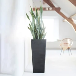 Pflanzgefäß 'Rotterdam MidHigh', Dunkelgrau -Angebote Gruen Trieb Store 3210104155 pflanzgefaess rotterdam high 3 117475