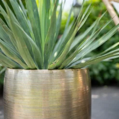 Pflanzgefäß 'Rowen', Gold, Ø 42 X H 41 Cm -Angebote Gruen Trieb Store 3210801622 Pflanzgefaess Rowen gold D 42 x H 41 cm 2 114989