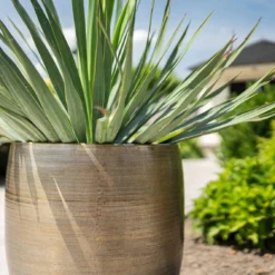 Pflanzgefäß 'Rowen', Gold, Ø 42 X H 41 Cm -Angebote Gruen Trieb Store 3210801622 Pflanzgefaess Rowen gold D 42 x H 41 cm 4 114991