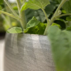 Pflanzgefäß 'Rowen', Silber, Ø 31 X H 28 Cm -Angebote Gruen Trieb Store 3210801625 3210801626 3210801627 3210801628 Pflanzgefaess Rowen silber 9 115005 1