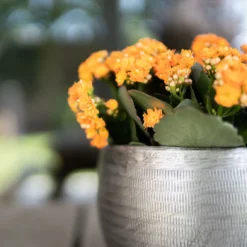 Pflanzgefäß 'Rowen', Silber, Ø 31 X H 28 Cm -Angebote Gruen Trieb Store 3210801625 Pflanzgefaess Rowen silber D 31 x H 28 cm 5 115009