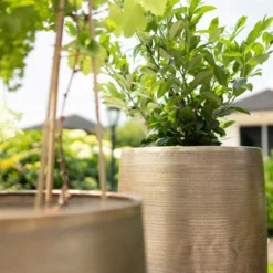 Pflanzgefäß 'Rowen', Gold, Ø 38 X H 62 Cm -Angebote Gruen Trieb Store 3210801630 3210801631 3210801632 3210801633 Pflanzgefaess Rowen gold 2 115015