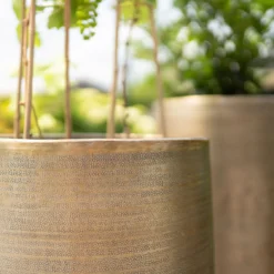 Pflanzgefäß 'Rowen', Gold, Ø 41 X H 72 Cm -Angebote Gruen Trieb Store 3210801630 3210801631 3210801632 3210801633 Pflanzgefaess Rowen gold 3 115016 1