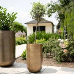 Pflanzgefäß 'Rowen', Gold, Ø 38 X H 62 Cm -Angebote Gruen Trieb Store 3210801630 3210801631 3210801632 3210801633 Pflanzgefaess Rowen gold 4 115017