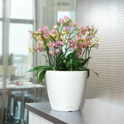 Lechuza Classico Premium 50 LS, Weiß Hochglanz, All-in-One-Set -Angebote Gruen Trieb Store 3325100222 Classico Premium 28LS wei All in One Set D28xH26cm RGB 7759