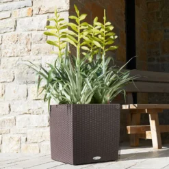 Lechuza Cube Cottage 40, Mokka, All-in-One-Set