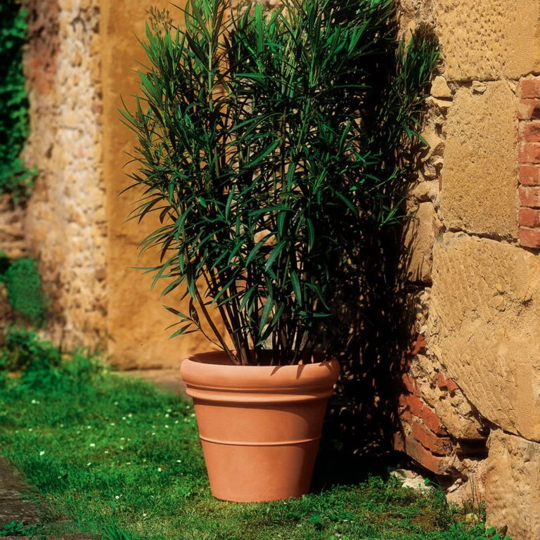 Angebote Gruen Trieb Store -Angebote Gruen Trieb Store 3210100303 Pflanzkuebel Doppio Bordo tds 75cm Erdvol 150Ltr 34313 768x768 1